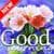 Good Morning Noon Evening Night everyday wishes