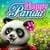 Happy Panda: Little Baby Care