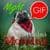Afrikaans Good Morning Good Night Gifs
