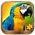 Animal Puzzle Games for Kids