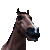 Horse Runner Jump