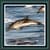 Live Wallpapers – Dolphins