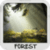 Forest Wallpapers by Nisavac Wallpapers