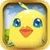Pepero The Talking bird