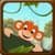 Monkey Swing  Climbing Rope