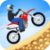 Motorbike Racer