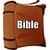 The Holy Bible`