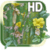 Flower Picture Live HD