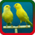 Canari Ringtones