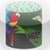 Rainforest Box