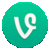 Vine for mobile