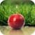 Fruits Live Wallpaper 3D Parallax