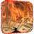 Burning Money Live Wallpaper