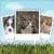 My Talking Pet perfect