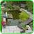 DIY Pond Building