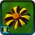 Beautiful Flower HD Wallpaper