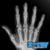 Human X Ray Scanner