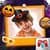 Halloween Frames Creator