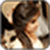 Hair Style Wallpaper_1