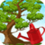 Bonsai Tree Care
