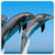 HD Dolphin Live Wallpapers