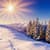 Beautiful Winter Live