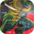 Ninja Turtle Legends Adventure