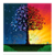 DayNight Real Time Christmas Live Wallpaper