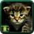 Free Wallpaper Cats Kittens