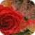 Shiny Red Rose LWP