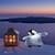 Dancing Penguin Live Wallpaper1
