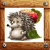 Hedgehog - apple seeker