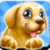Crazy Puppy