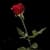 Love Wallpaper - Wallpaper