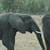 Nature Live Wallpaper 127