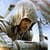 Assassins Creed Live Wallpaper 4