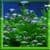 Abstract Bubbles Clock Live Wallpaper