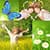 Beautiful Spring Photo Collage