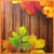 Autumn Time