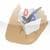 HanDBase Database Manager