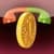 Mobile Balance