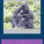 Animals guessing