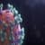 Coronavirus Live Update