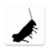 Cricket Sound