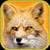 Wild Fox Sim Adventure