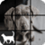 Dog Slide Puzzle Game