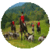 Rules to play Fox Hunting