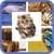 Scratch Animal Quiz