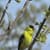 Nature Live Wallpaper 18