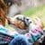 Free Animal Puzzle by FEI